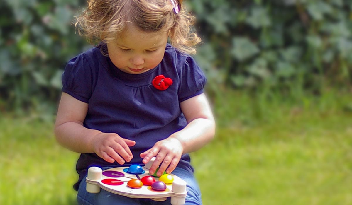 wooden toy sorting