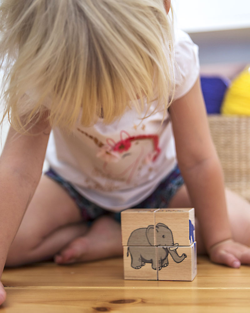 Child with picture cubes zoo wooden toy by Selecta