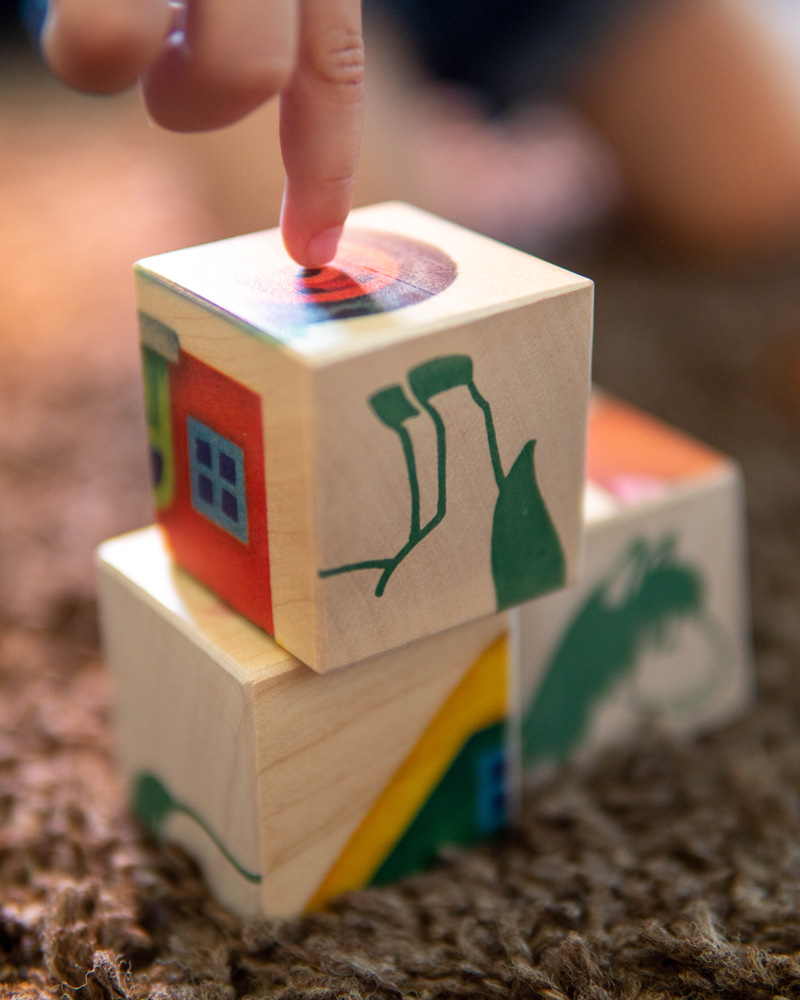 Picture Cube Farm wooden toy emotion